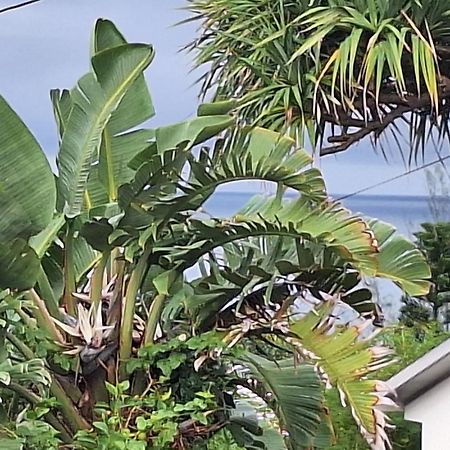 圣若瑟L'Etoile Du Piton别墅 外观 照片